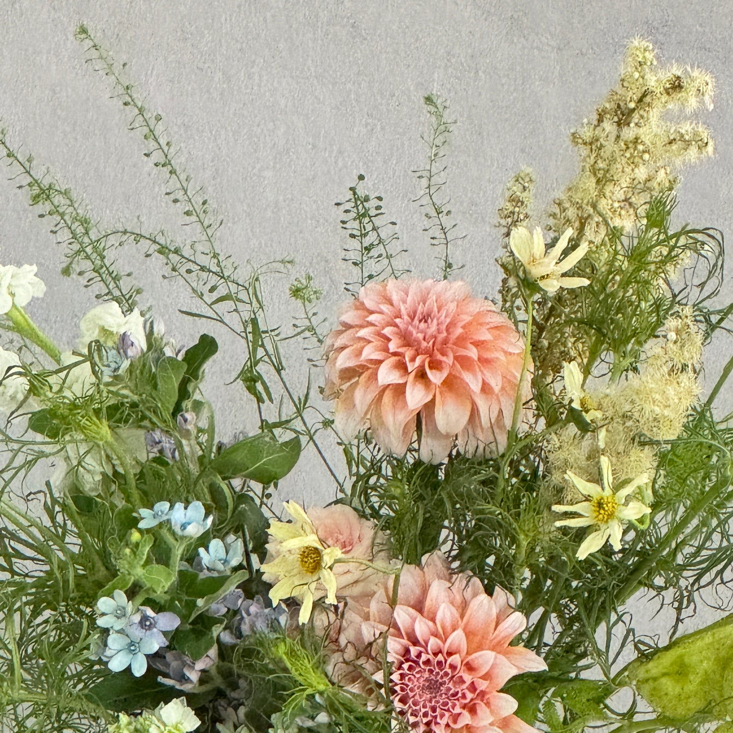 Blooming spring